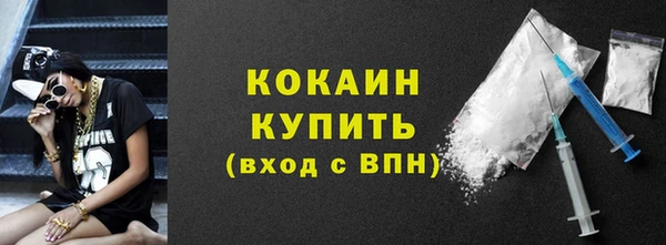 дживик Тында